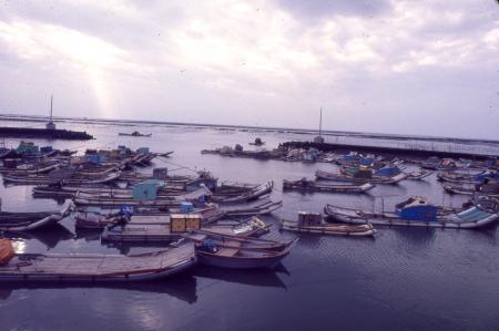 口湖台子村漁港