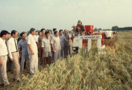 省主席李登輝巡視莿桐農地重劃區割稻