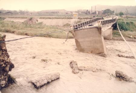 雲祥橋與韋恩颱風