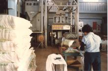 碾米廠與精米流程
