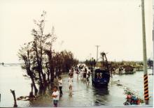 艾貝颱風與台子村